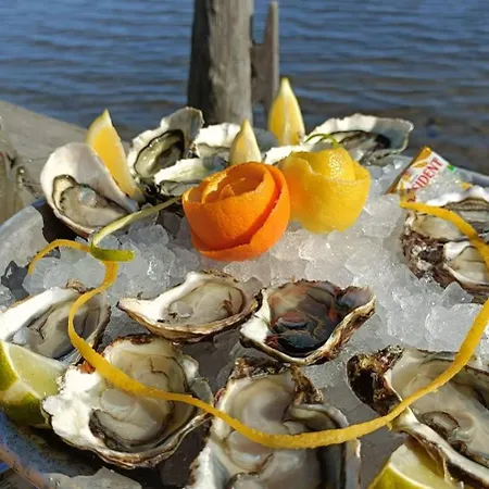 La Chouette Maison Hébergement de vacances Florensac